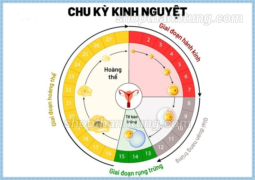 Vua het kinh 7 ngay quan he co bau khong 1 ae73b124f3 - Sắp đến kỳ kinh quan hệ có thai không? Hiểu đúng nguy cơ