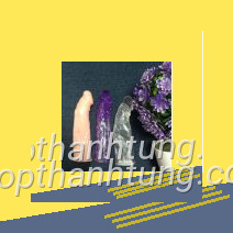 Ảnh chụp don phan được trình bày rõ ràng