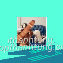 Nội dung về duong vat gia rung ngoay 31 được thể hiện sinh động