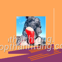 Ảnh giới thiệu am dao gia rung ren 16 với chi tiết nổi bật