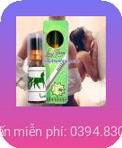 chai xit longtime hai phong 31-shopthanhtung