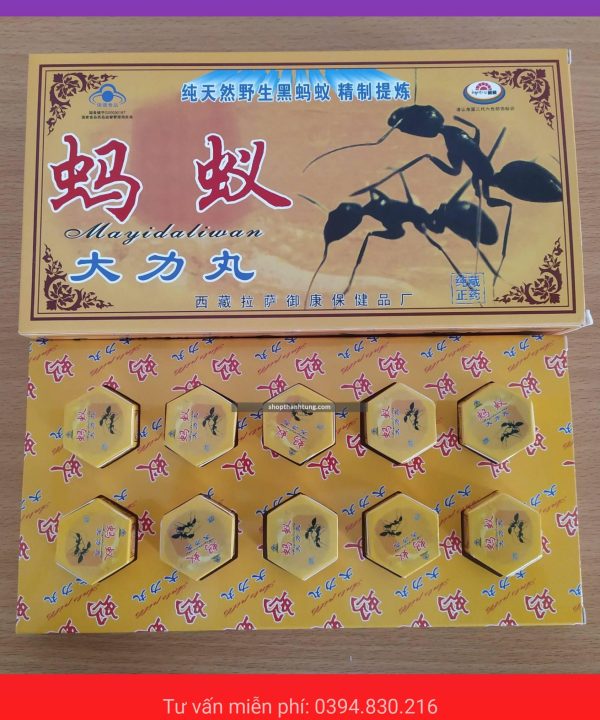 kien cang den tay tang 27