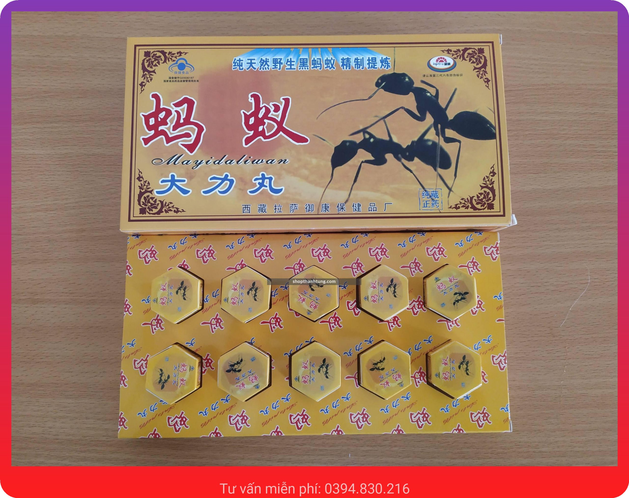 kien cang den tay tang 27