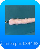 duoi cao hau mon 7-shopthanhtung