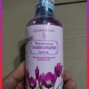 IMG 20181203 193134 scaled-shopthanhtung