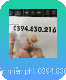 Râu rồng silicon 2 râu