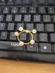 RÂU RỒNG SILICON