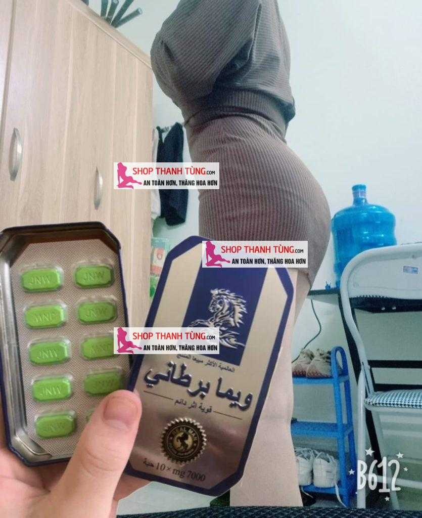 ngua thai hai phong 12-shopthanhtung đặc điểm của ngựa thái tại Kiến An