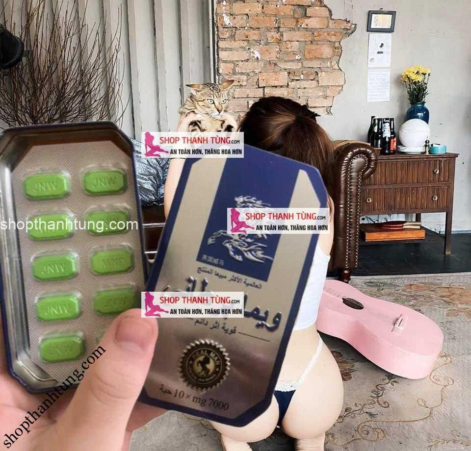 ngua thai hai phong 67-shopthanhtung