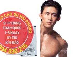 temvinixhaiphong 520-shopthanhtung