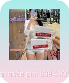 BAO CAO SU SAGAMI 0.01 HẢI PHÒNG