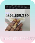 Sản phẩm vừa có công dụng giúp chống xuất tinh sớm, vừa có các râu chìa ra xung quanh giúp tăng kích thích và tạo khoái cảm táo bạn cho bạn tình. Xuất xứ từ – hongkong Thành phần/ Chất liệu: Silicon y tế Dung tích/ Kích thước: Free Size, đường kính 2.5 co giãn phù hợp với các loại đường kính dương vật Đơn vị: Bịch 1 vòng, dùng nhiều lần Giá bán: xem ở sản phẩm Tình Trạng: Còn hàng
