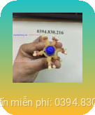 râu rồng silicon 24 bi