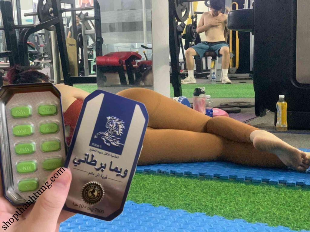 ngựa thái hải phòng chính hãng