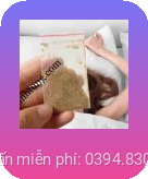 sìn sú tại Vũng Tàu
