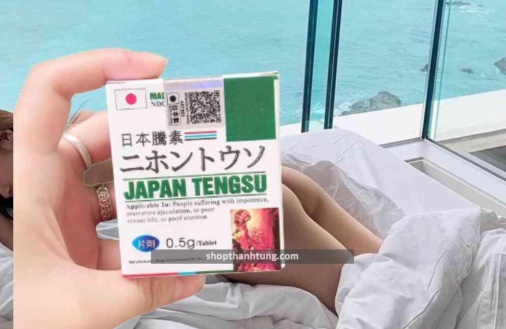 Japan Tengsu Kiến An Hải Phòng