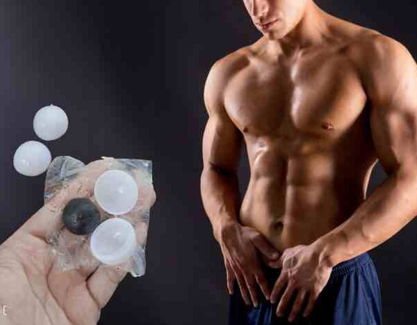 Địa chỉ mua Kiến Càng đen Tây Tạng tại Quảng Ninh