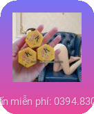 Kiến càng đen tây tạng tại Hải Dương