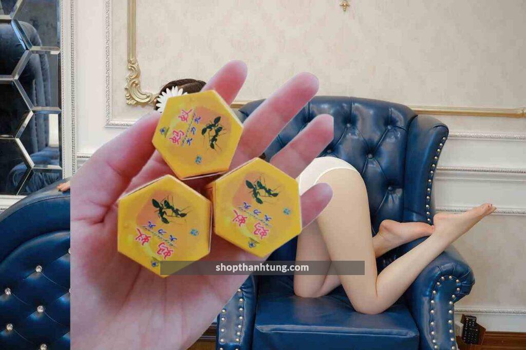 Kiến càng đen tây tạng tại Hải Dương