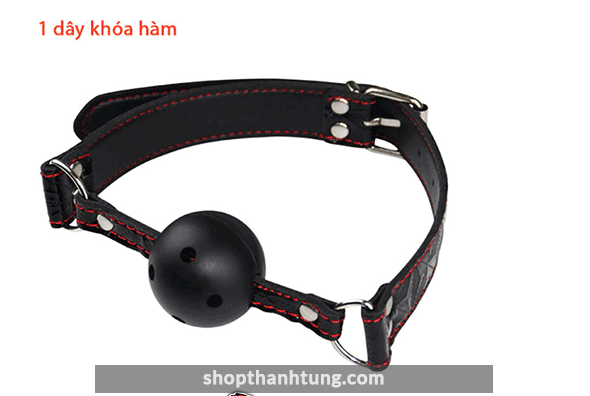 Bộ đồ chơi BDSM 10 món bằng da quyến rũ (QT09D) 29 Dây khóa hàm