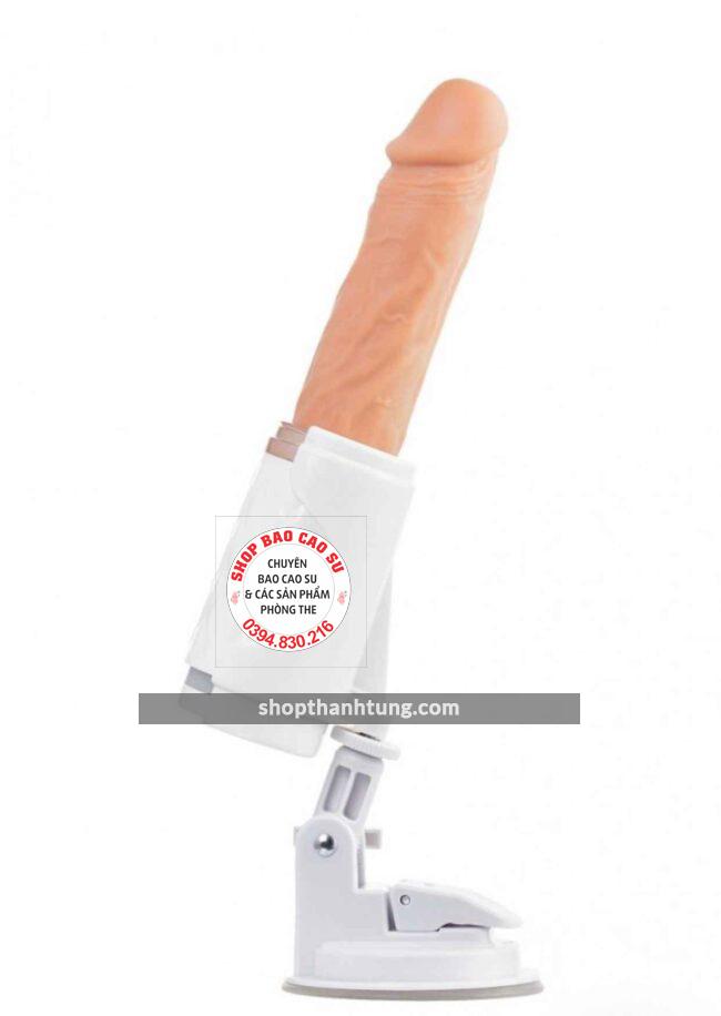 Duong Vat Gia Gan Tuong Co Thut tai Hai Phong 1