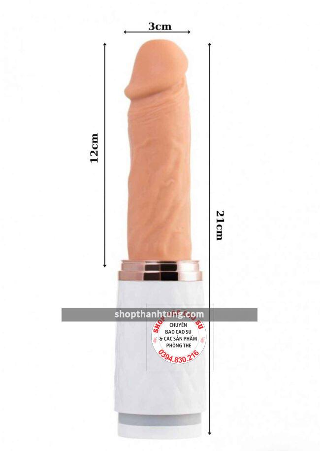 Duong Vat Gia Gan Tuong Co Thut tai Hai Phong 5