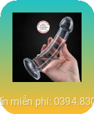 duong vat gia gan tuong trong suot 2