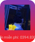 kẹo a7 tại Bắc Ninh