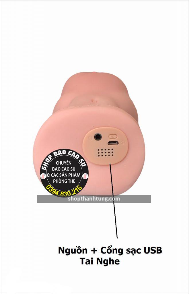 Am dao gia cam tay Juai tai Hai Phong 1