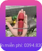 CHAY RUNG MINI CAM TAY LITTLE AI tai Hai Phong 1