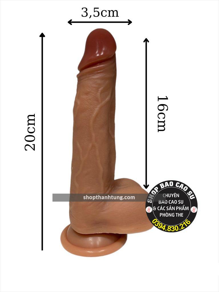 Duong Vat Gia Dieu Khien Tu Xa Gan Tuong XL rung thut ngoay 2