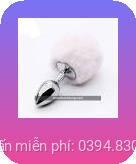 Phich cam hau mon duoi tho Inox tai Hai Phong 1