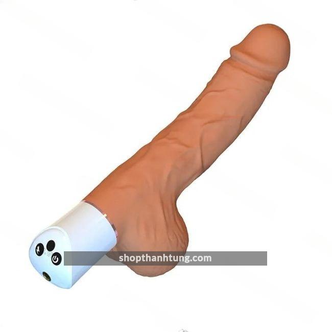 duong vat gia gan tuong Scimitar 1 fotor 2024072484342