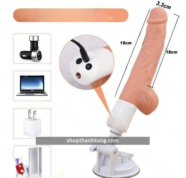 duong vat gia gan tuong Scimitar 4 fotor 2024072484325