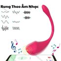 Trứng rung điều khiển app Little Dolphin tại Hải Phòng