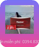 keo hamer my tai hai phong 4