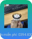 Vong long ngua silicon 2354 4 1