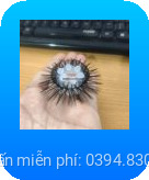 Vòng đeo silicon 2 lớp bi lông ngựa