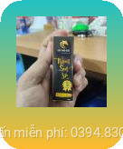 trùm sìn sú tại Hải Phòng