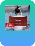 Kẹo sâm Hamer