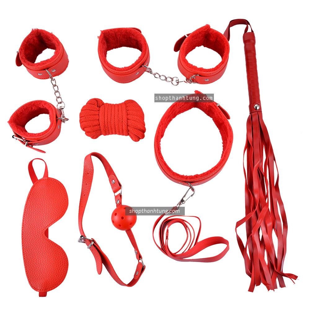 Các loại đồ chơi bạo dâm phổ biến hiện nay tại Tiền Giang