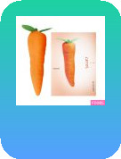 Dương vật giả ngụy trang Wistone Carrot (order 1-3 ngày)