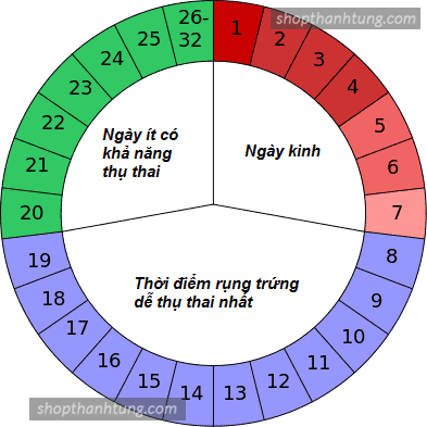 ngày nào là dễ thụ thai nhất