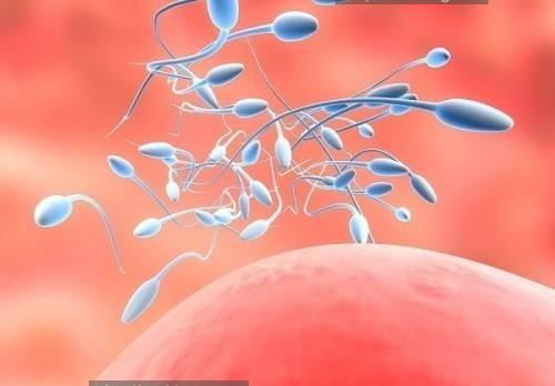 Những Sai Lầm Thường Gặp Khi Tính Ngày Dễ Thụ Thai