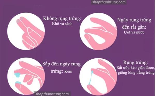 Dấu Hiệu Cho Thấy Bạn Đang Gần Ngày Dễ Thụ Thai