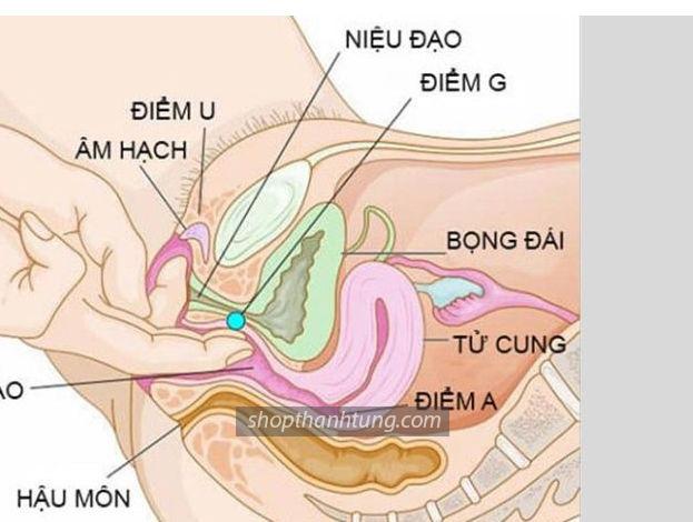 Tại sao hiện tượng xuất tinh ở nữ xảy ra