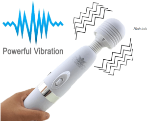 Máy Rung Tình Yêu Tại Hà Nội