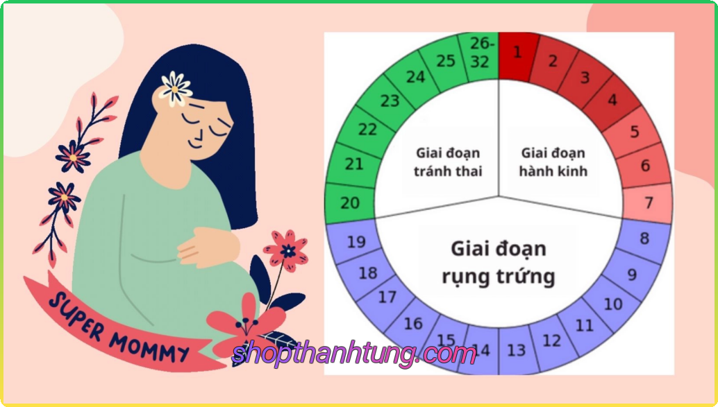 Cách Tính Ngày Rụng Trứng Để Tăng Khả Năng Sinh Con Gái