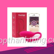 Hình giới thiệu flamingo magic motion mang phong cách hiện đại