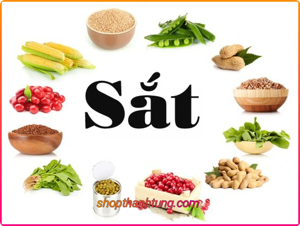 Thực Phẩm Giàu Sắt